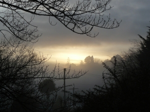 Foggy Dunedin Morning